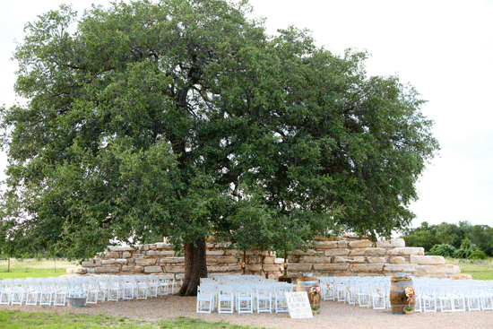 Ceremony Setup